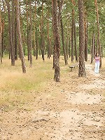 Hiking through woods