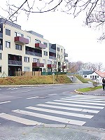 Beauty playing with solid schlong