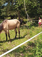 Teens finding a basket of dildos