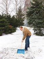 Snow shoveling chap screws beauty