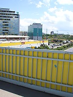 Old guy screwing in an open field