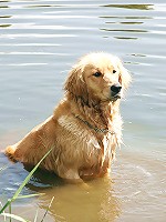 Teen rewards senior with some sex