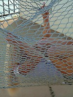 Dream Kelly hot on hammock